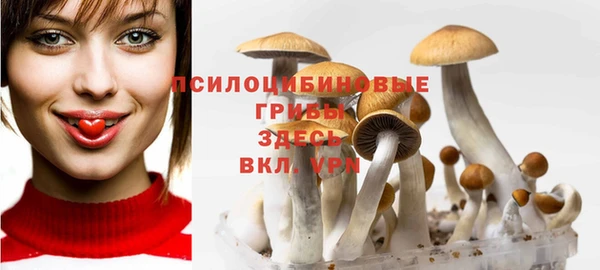 марки nbome Алзамай