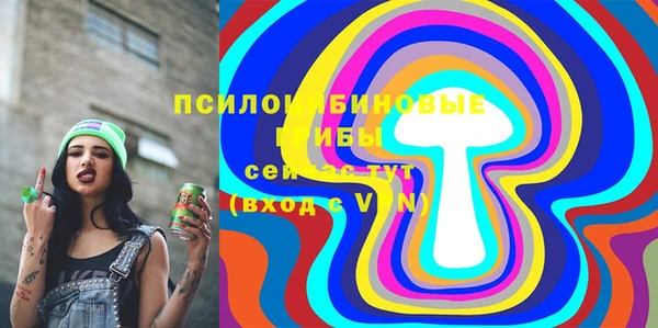 spice Алексеевка