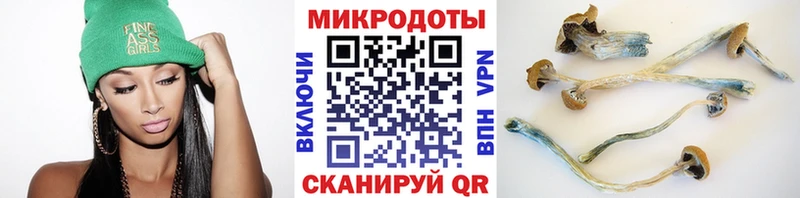 Псилоцибиновые грибы Psilocybe Купить Благовещенск